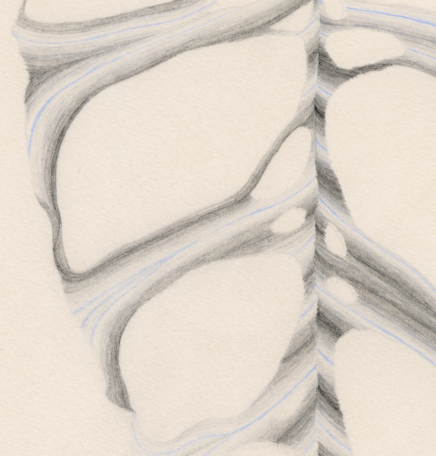 Large Monstera (Gray on Gray on Baby Blue) Detail